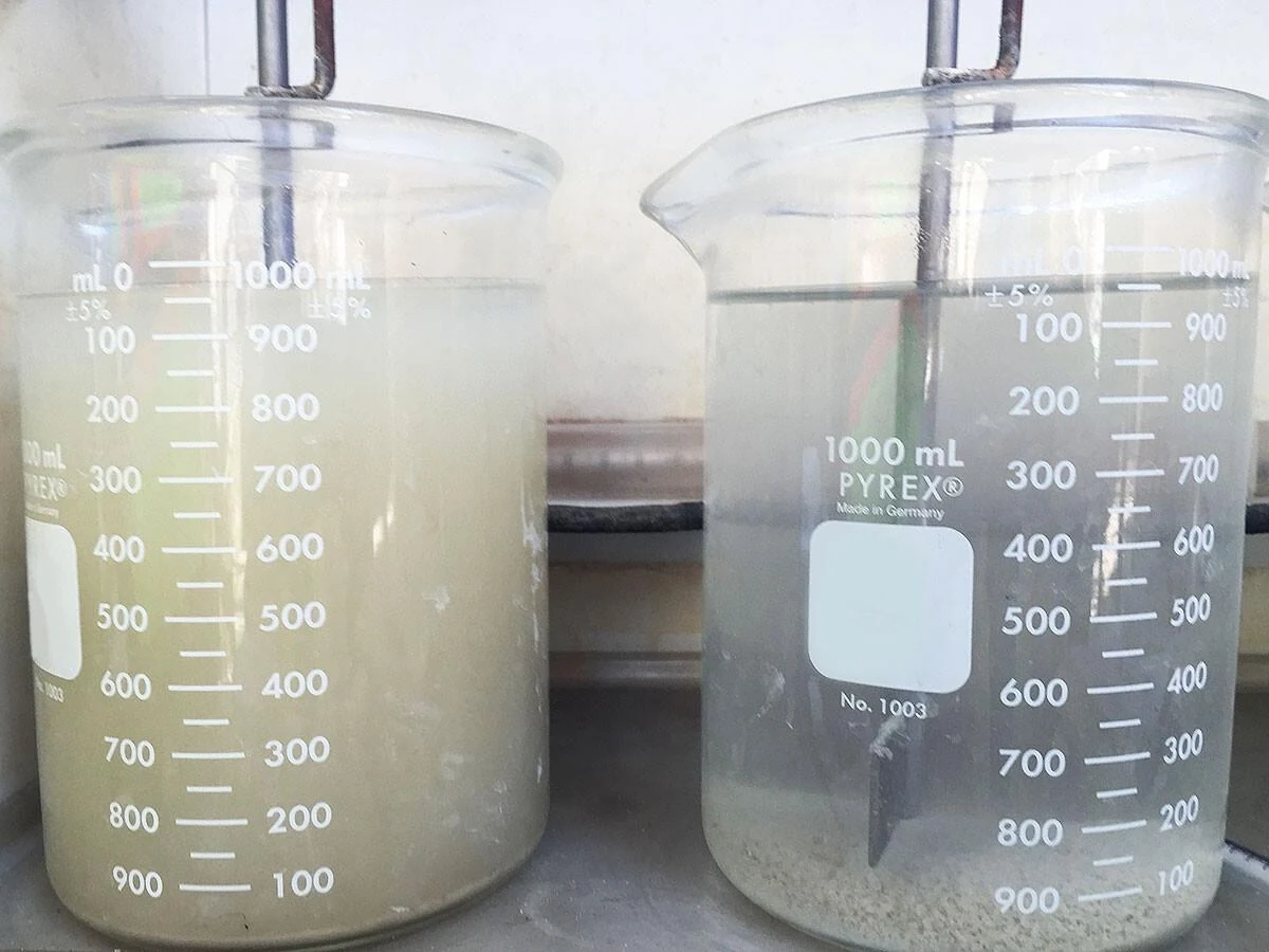 Two beakers containing cloudy liquid and visible settled material
